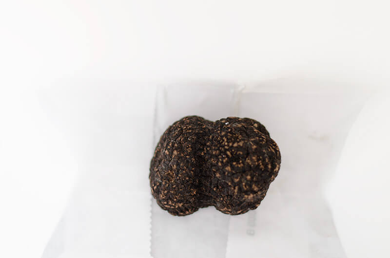 Fresh winter black truffle