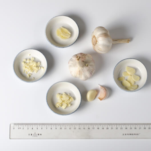garlic | Omnivore's Cookbook