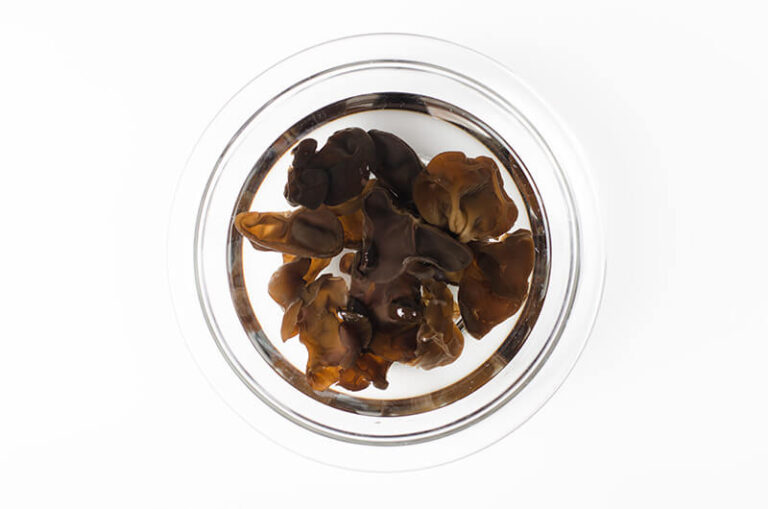 Wood Ear (木耳) Omnivore's Cookbook