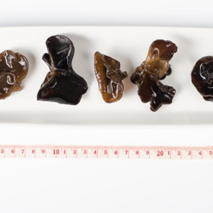 Wood Ear | Omnivore's Cookbook