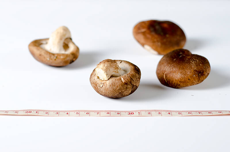 Shiitake mushroom | Omnivore's Cookbook