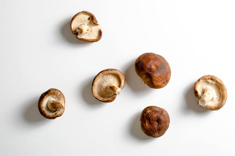 Shiitake mushroom | Omnivore's Cookbook