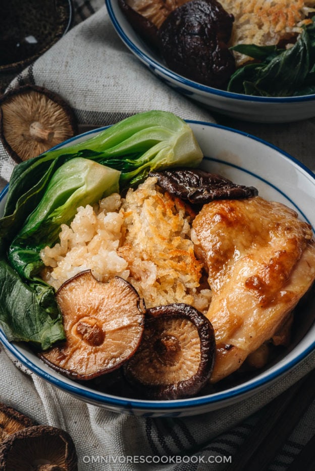 The Best Clay Pot Chicken Rice (鸡肉煲仔饭) - Omnivore's Cookbook