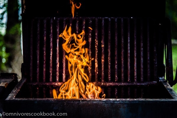 Cha Siu kebab (Chinese BBQ) - Chinese BBQ + smokiness from charcoal = perfection. The recipe includes ways to cook chicken and pork. You can choose to make kebabs or use bigger cuts of meat. | omnivorescookbook.com