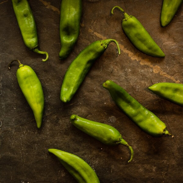 Szechuan Pan Fried Peppers (Tiger Skin Peppers, 虎皮尖椒) - These peppers are pan fried until blistered and tender, then cooked in a sour, savory sauce. A great vegan dish that is hot, flavorful, and appetizing! | omnivorescookbook.com