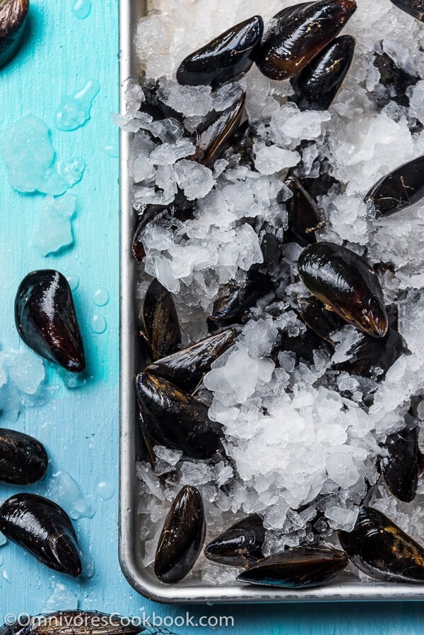 Mussel and Oyster Cleaning Brush