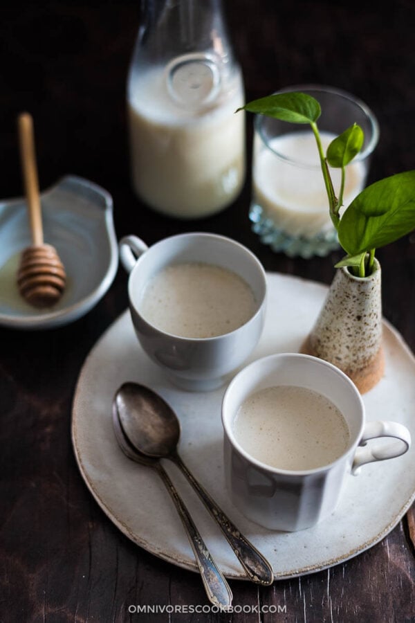 Homemade Soy Milk (with Soy Milk Maker, 豆浆) Omnivore's Cookbook