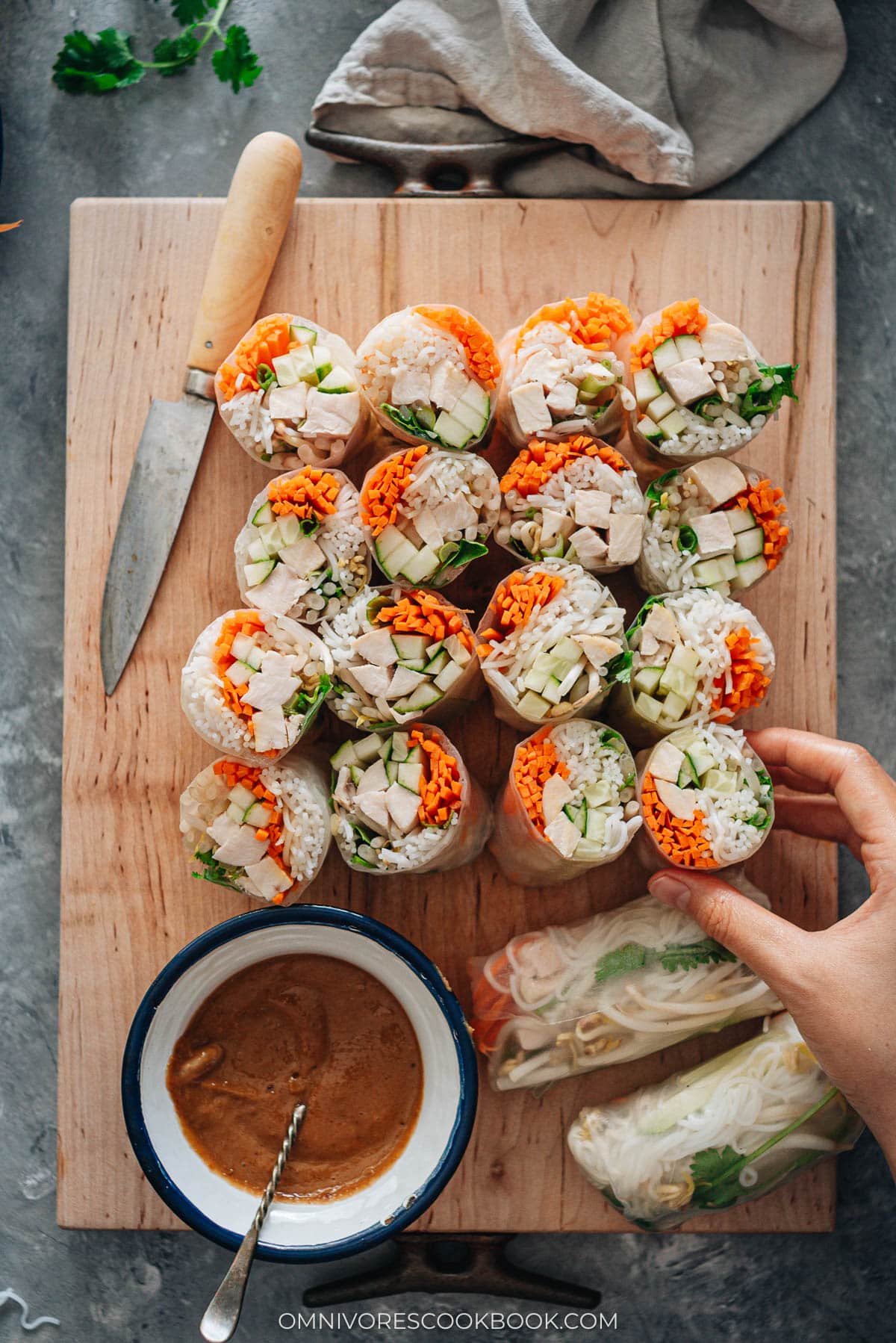Homemade chicken spring rolls