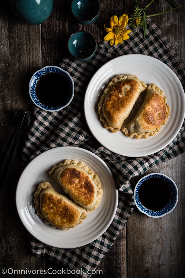 Chinese Chicken Dumplings (鸡肉饺子) - Omnivore's Cookbook