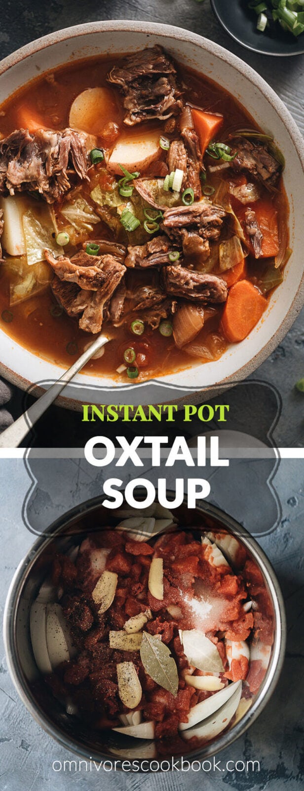 Pressure Cooker Oxtail Soup (An Instant Pot Recipe) - Omnivore's Cookbook