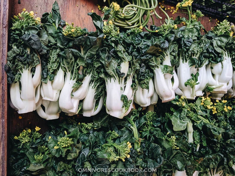 Dwarf bok choy