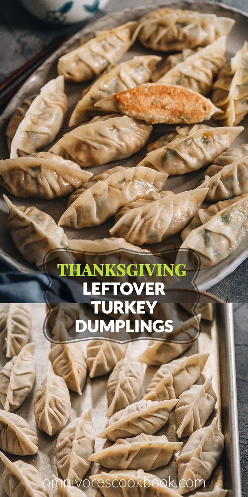 Turkey dumplings (A Thanksgiving Leftover Recipe) | Turn Thanksgiving leftovers into fancy dim sum using this turkey dumpling recipe. It uses leftover mashed potatoes, turkey, and cranberry sauce to make crispy, hearty, and juicy dumplings that are even better than takeout.