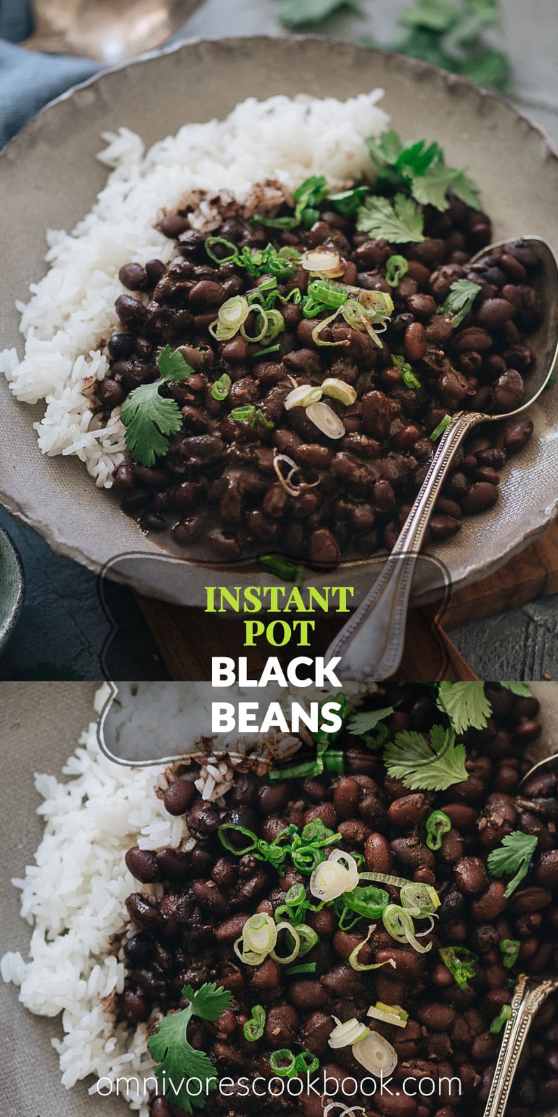 Instant Pot Black Beans 5 Ingredient Vegan Omnivores Cookbook 