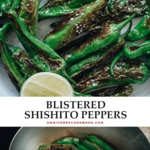 Make use of one of the best seasonal offerings with blistered shishito peppers using this quick and tasty way to enjoy their mellow and pungent flavor! {Gluten-Free, Vegan-Adaptable}