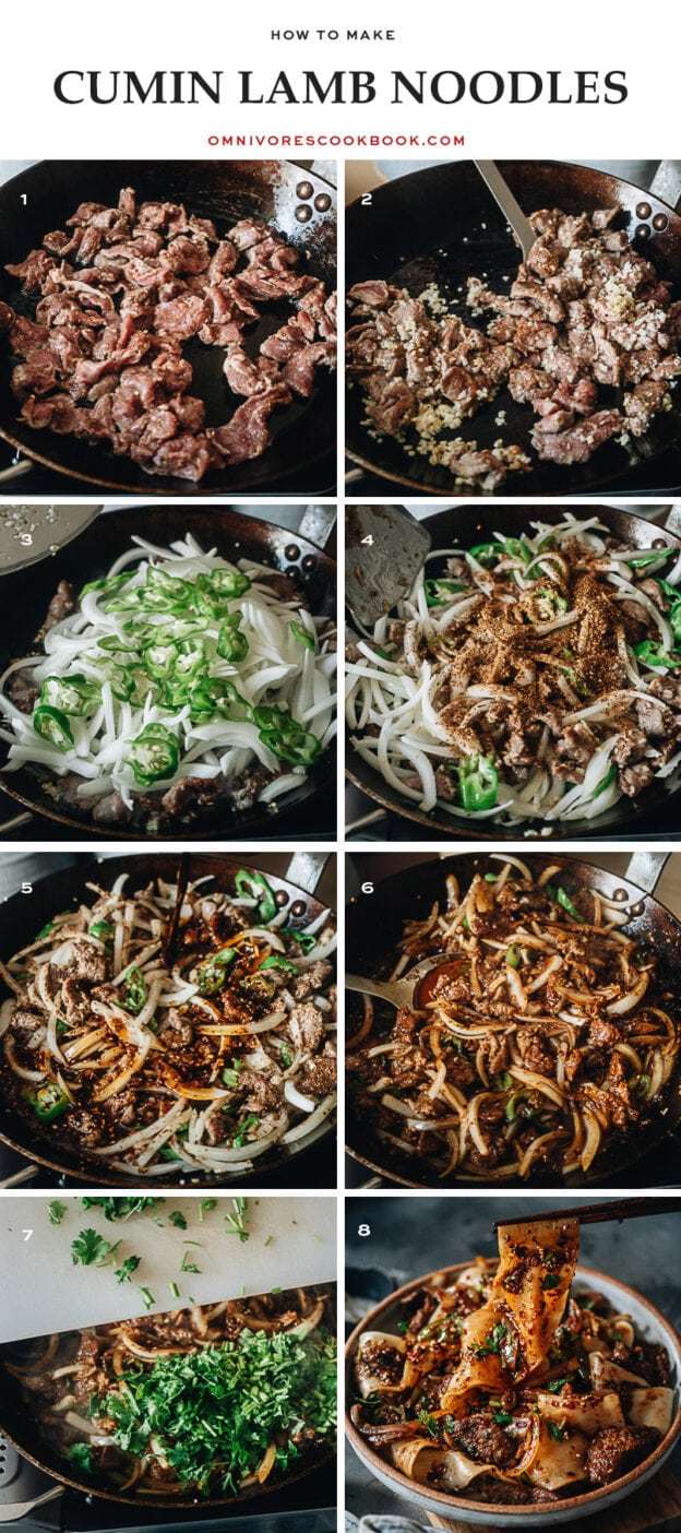 Cumin Lamb Noodles Omnivore's Cookbook