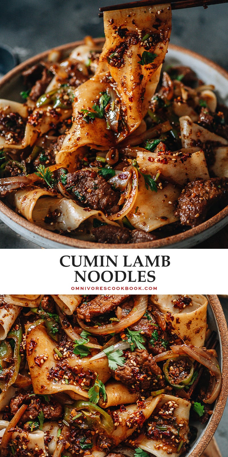 Cumin Lamb Noodles - Omnivore's Cookbook