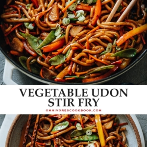 This super-simple, rich, and healthy vegetable udon comes together in just one pot in only 15 minutes - perfect for a busy night. {Vegan-adaptable}