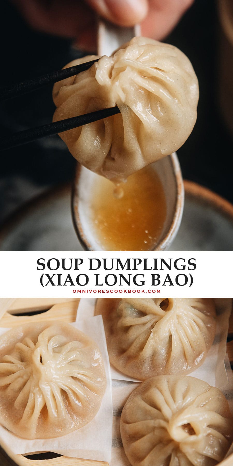 Homemade Soup Dumplings (Xiao Long Bao) - Omnivore's Cookbook