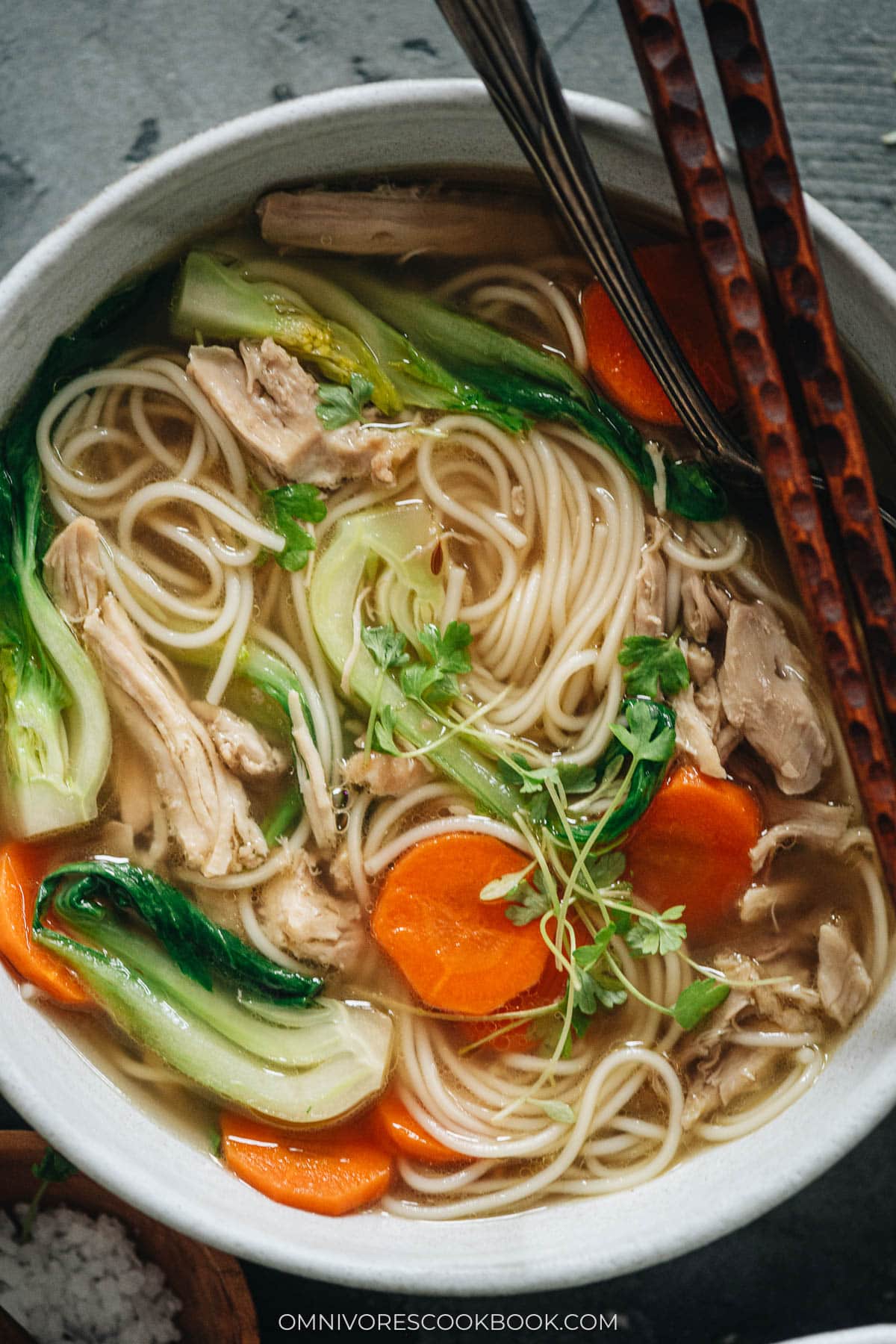 Chinese chicken noodle soup close up