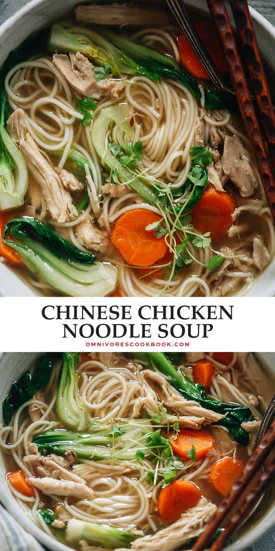 Chinese Chicken Noodle Soup Omnivore's Cookbook