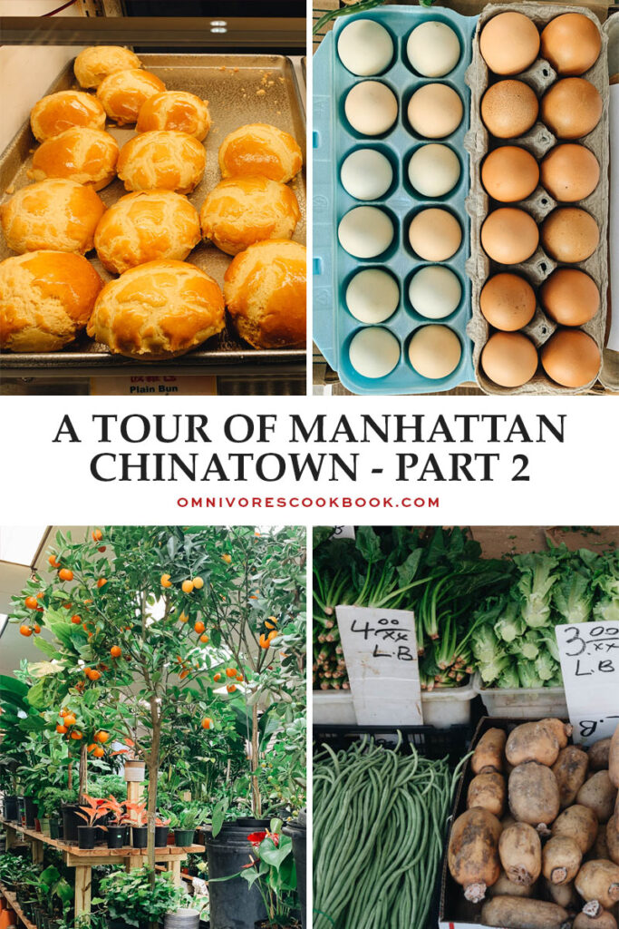 A Culinary Tour of Manhattan Chinatown Cover