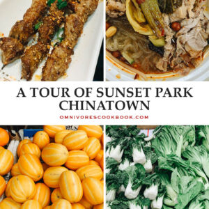 A Tour of Sunset Park Chinatown Cover