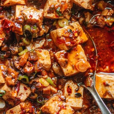 Chinese vegetarian mapo tofu close up