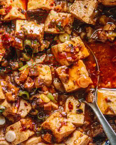 Chinese vegetarian mapo tofu close up