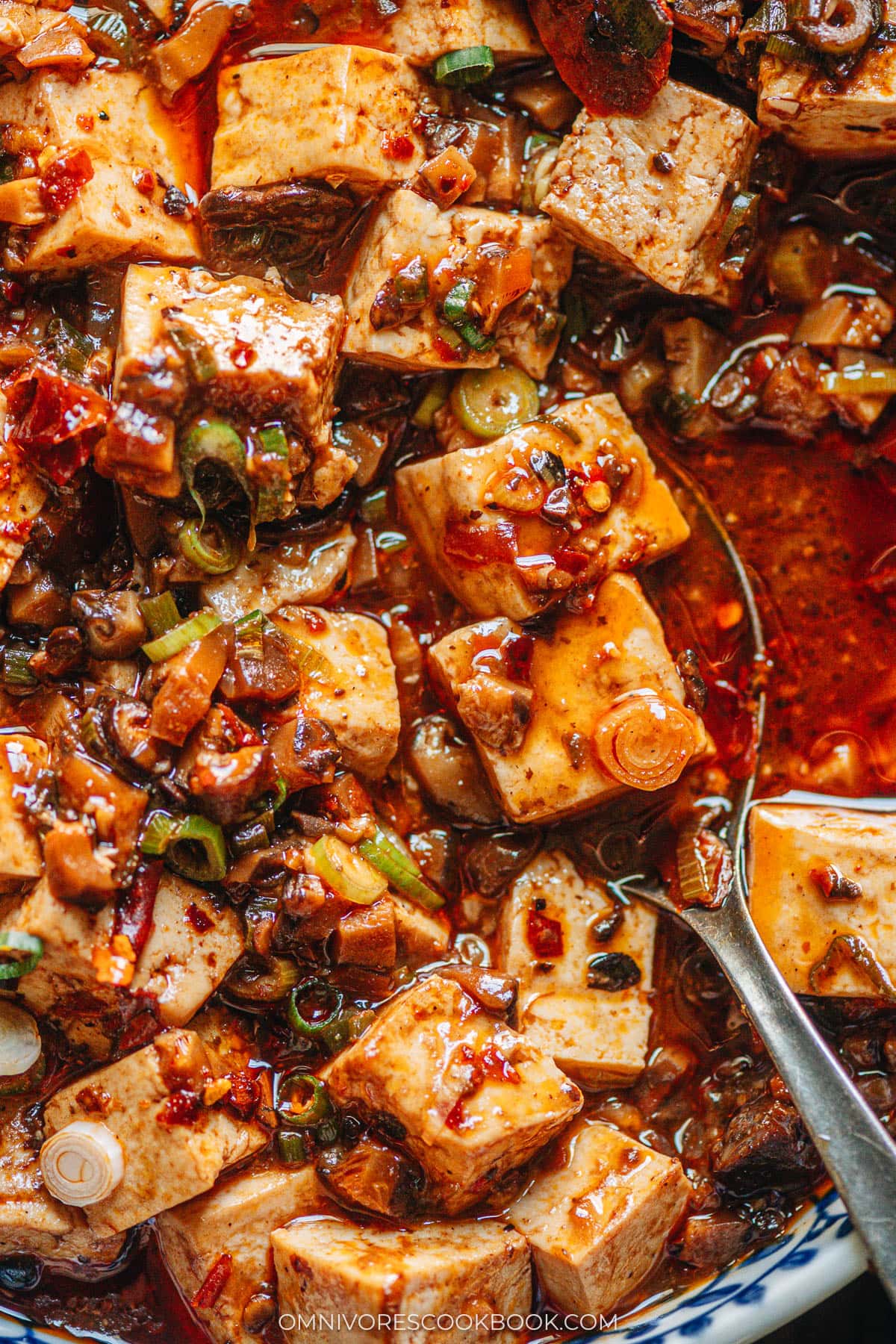 Chinese vegetarian mapo tofu close up