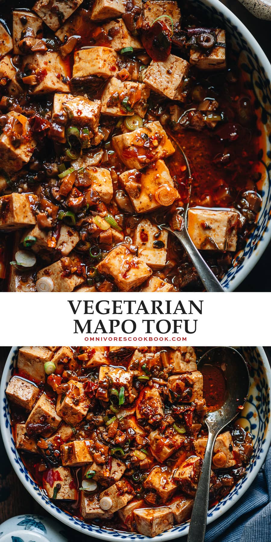 Vegetarian Mapo Tofu (Vegan) - Omnivore's Cookbook