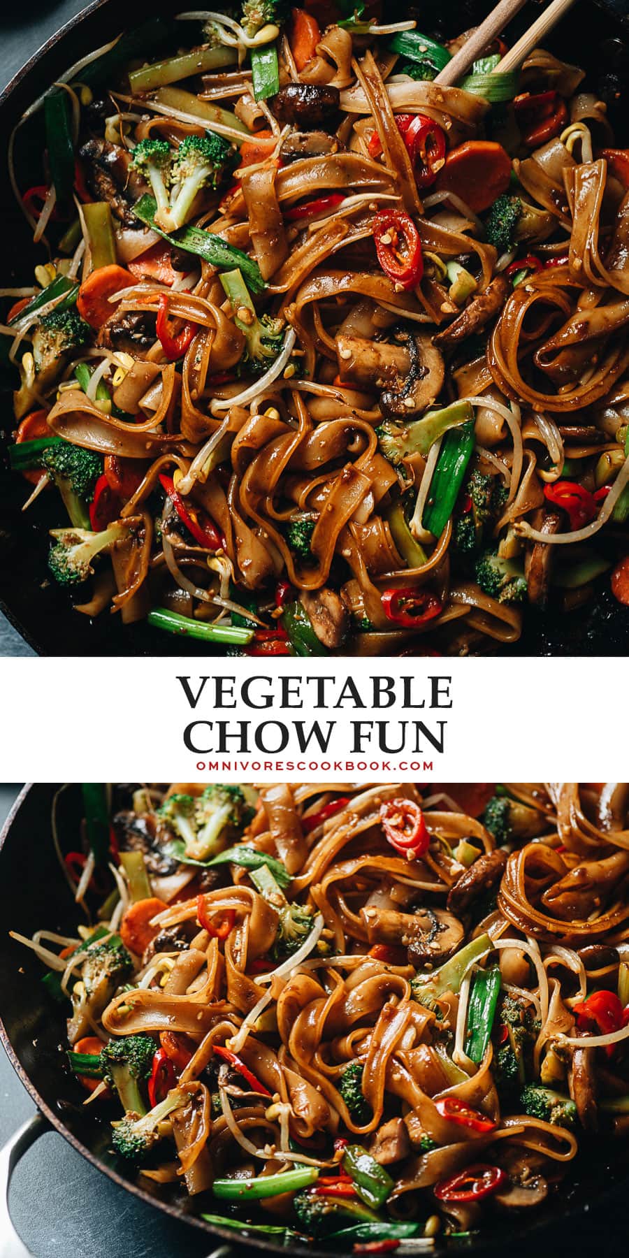 Vegetable Chow Fun (蔬菜炒河粉) - Omnivore's Cookbook