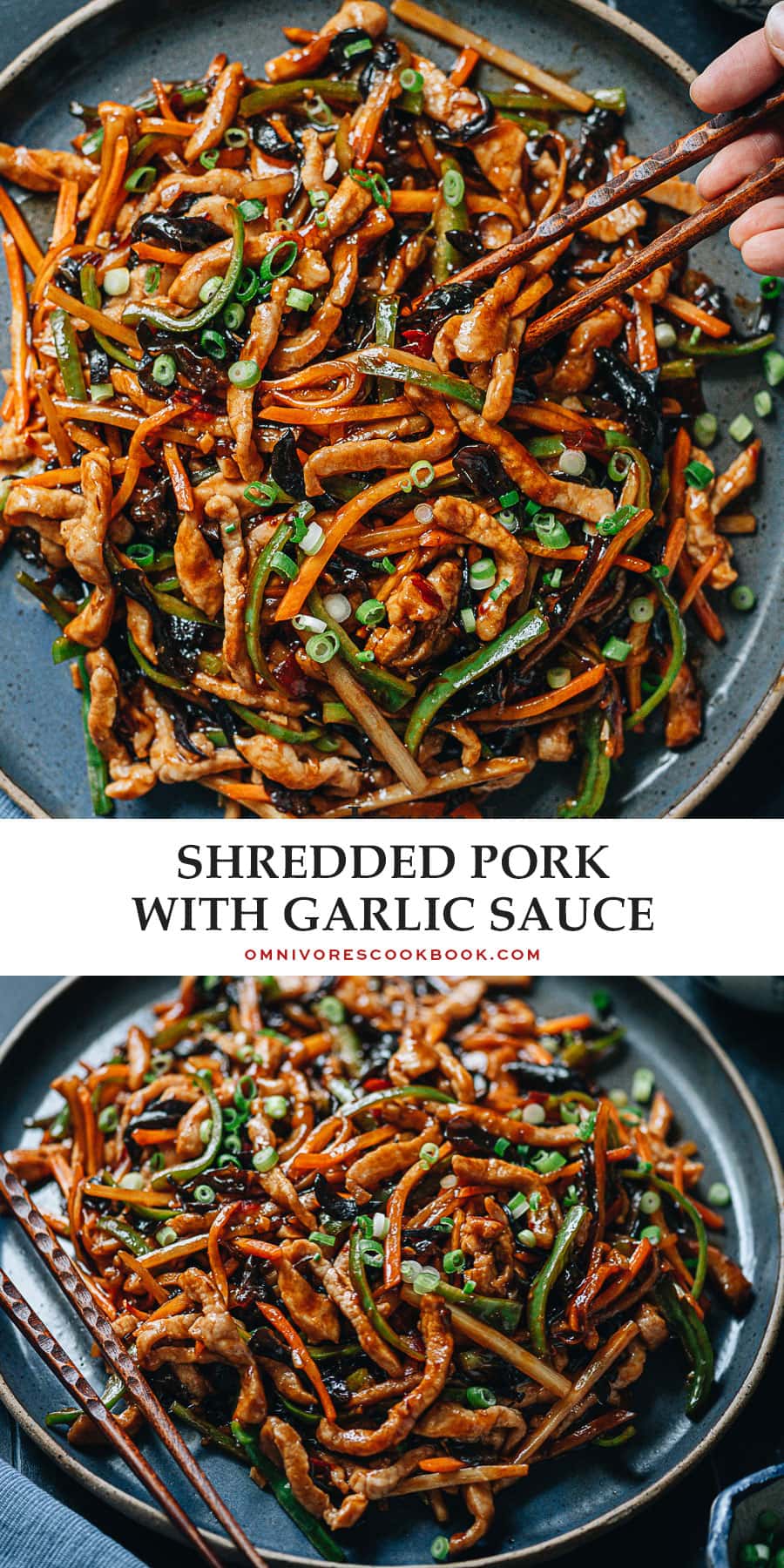 Shredded Pork with Garlic Sauce (鱼香肉丝, Yu Xiang Rou Si) - Omnivore's ...