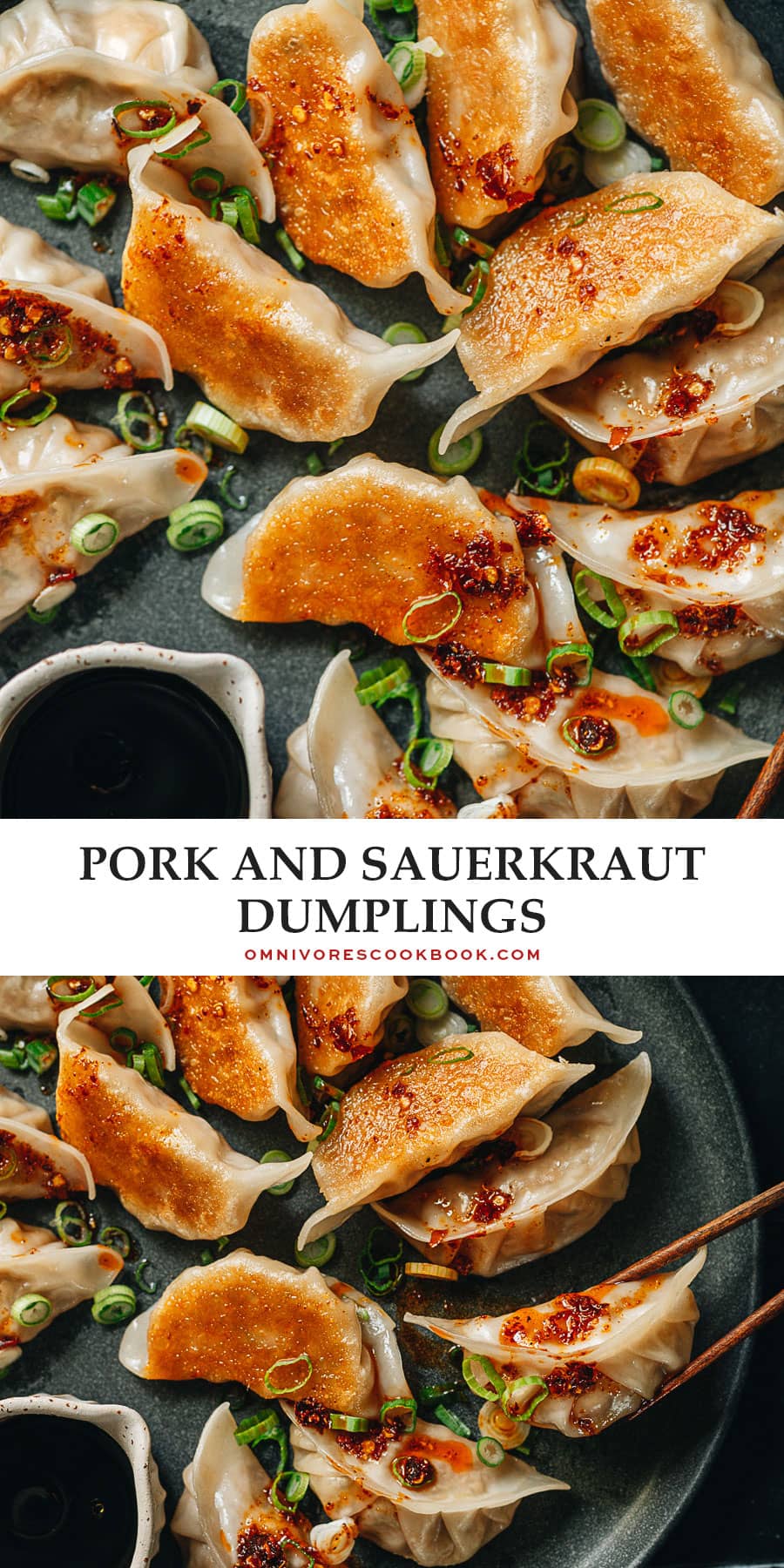 Pork and Sauerkraut Dumplings (酸菜饺子) Omnivore's Cookbook