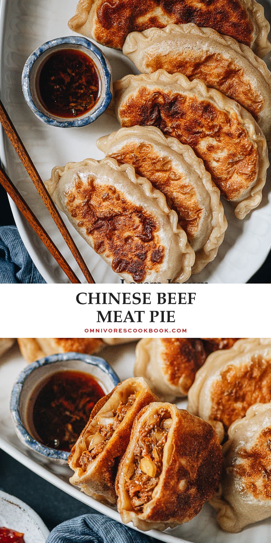 Chinese Beef Meat Pie (Xian Bing, 牛肉馅饼) - Omnivore's Cookbook