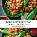 A super easy and fast San Choy Bow, or pork lettuce wrap recipe, that features tender pork and crisp vegetables brought together with a scrumptious brown sauce served on lettuce leaves. Make a light healthy meal or complete your Chinese dinner with this colorful dish! {Gluten-Free adaptable}