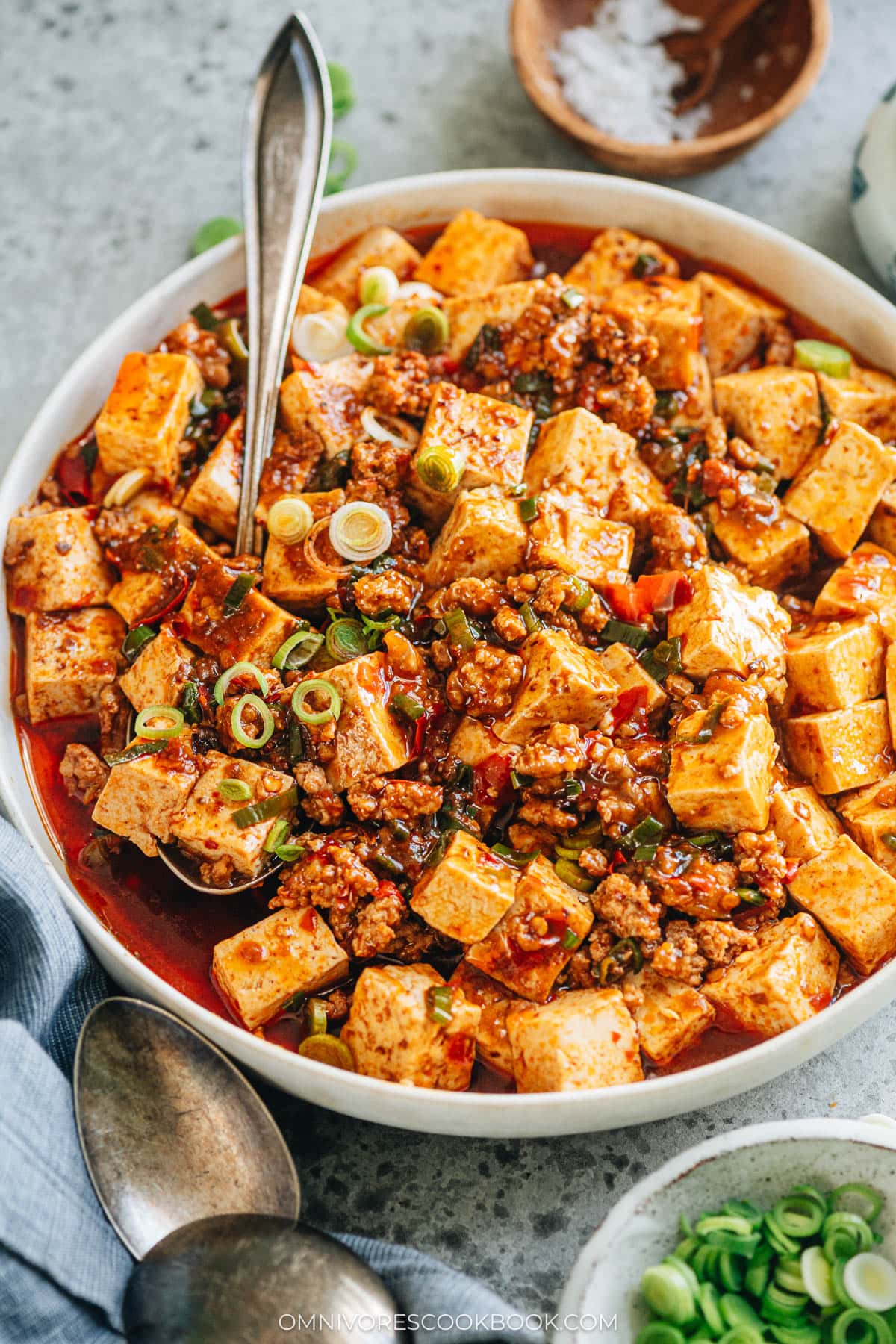 Mapo tofu with ground pork served in a plate