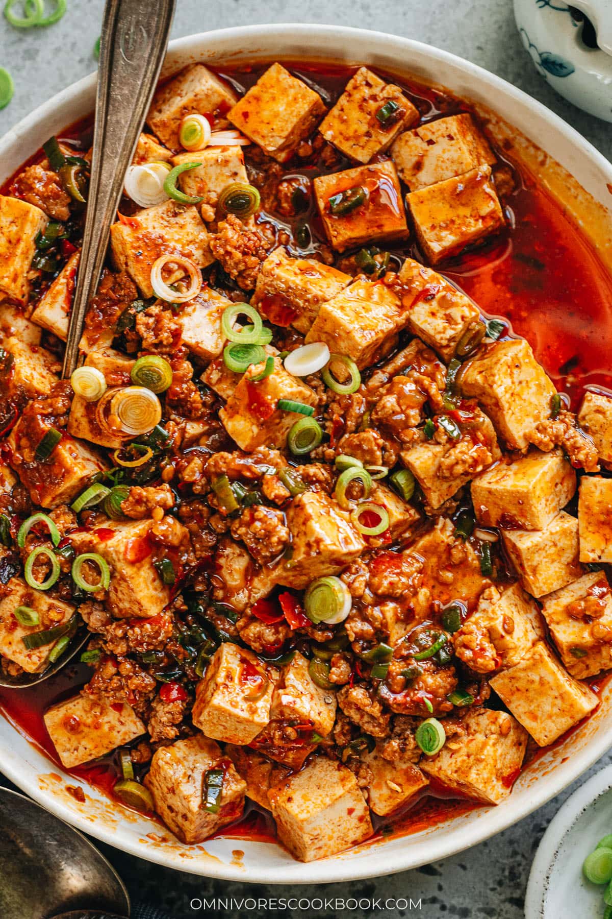Mapo tofu close up