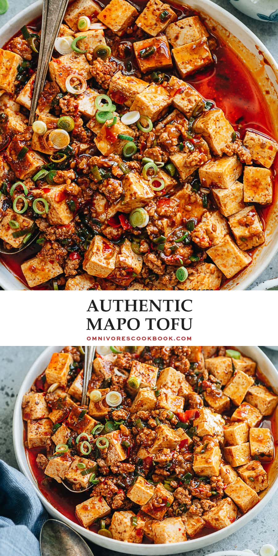 Authentic Mapo Tofu (麻婆豆腐) - Omnivore's Cookbook