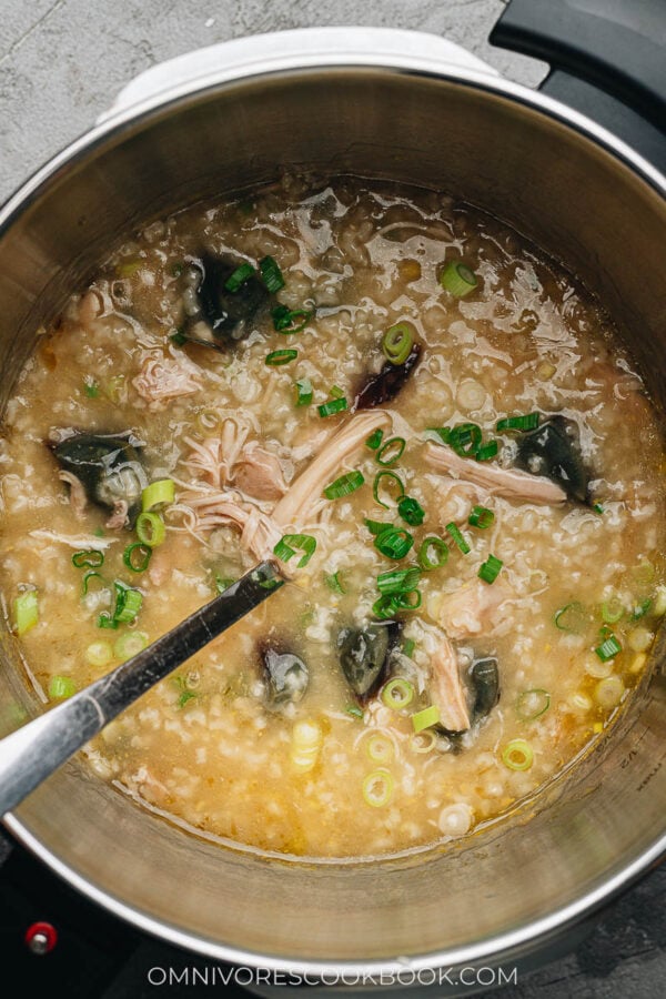 Century Egg Congee with Chicken (皮蛋瘦肉粥) Omnivore's Cookbook