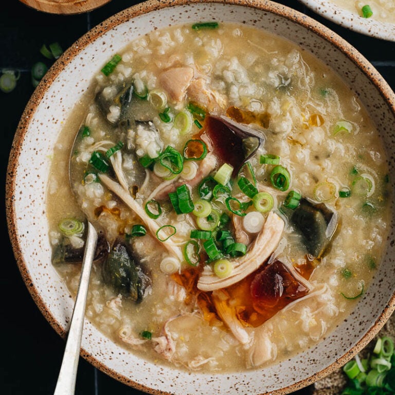 Century Egg Congee with Chicken (皮蛋瘦肉粥) Omnivore's Cookbook