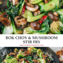 An easy bok choy mushroom stir fry that can be whipped together quickly for a speedy weekday dinner. The tender mushrooms and crisp bok choy are brought together with a gingery garlicky brown sauce, which tastes comforting and satisfying. Serve it as a side or a main course over steamed rice. {Vegan, Gluten-Free Adaptable}