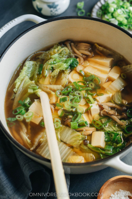 Napa cabbage tofu soup close up