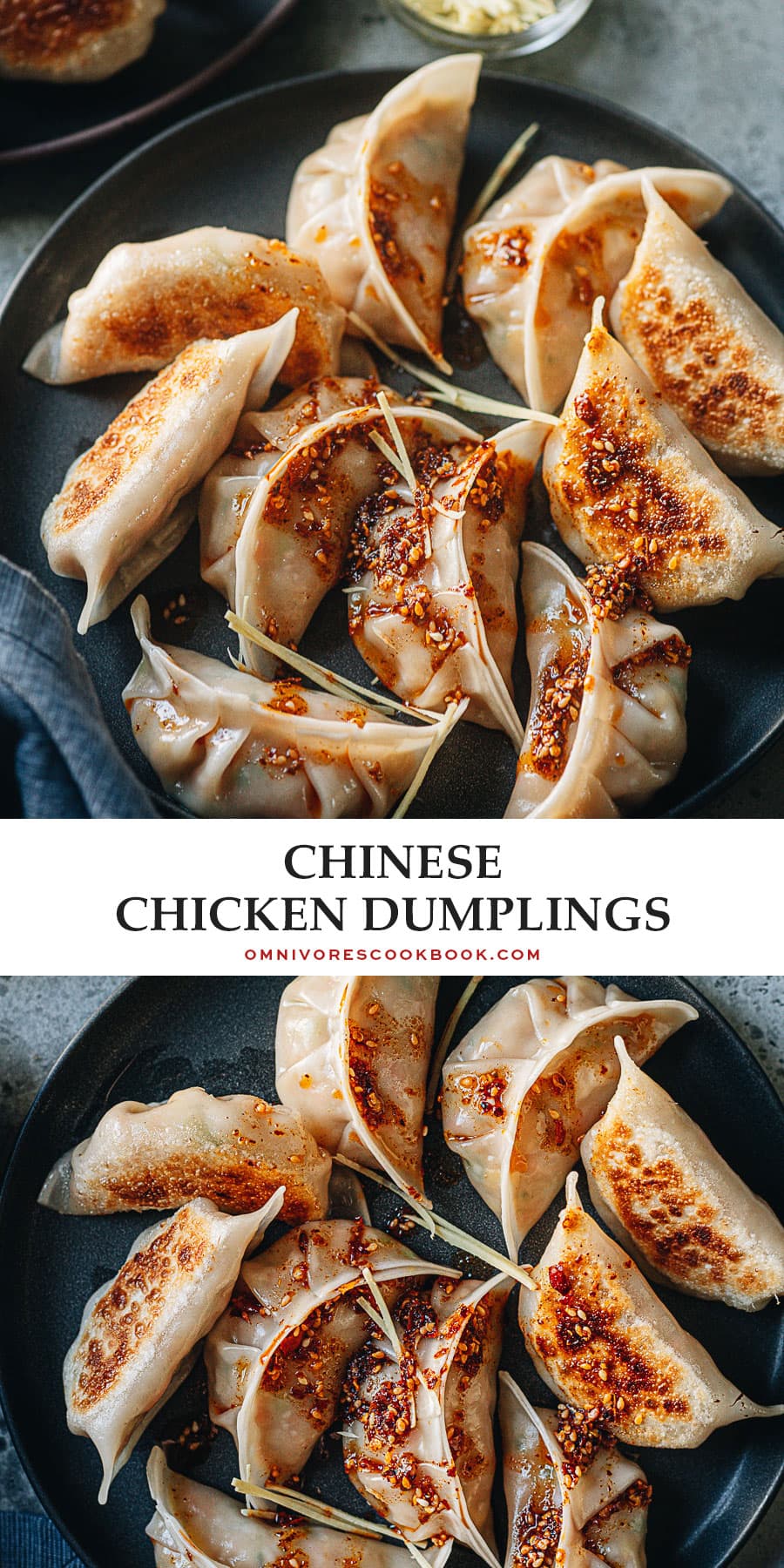 Chinese Chicken Dumplings (鸡肉饺子) - Omnivore's Cookbook