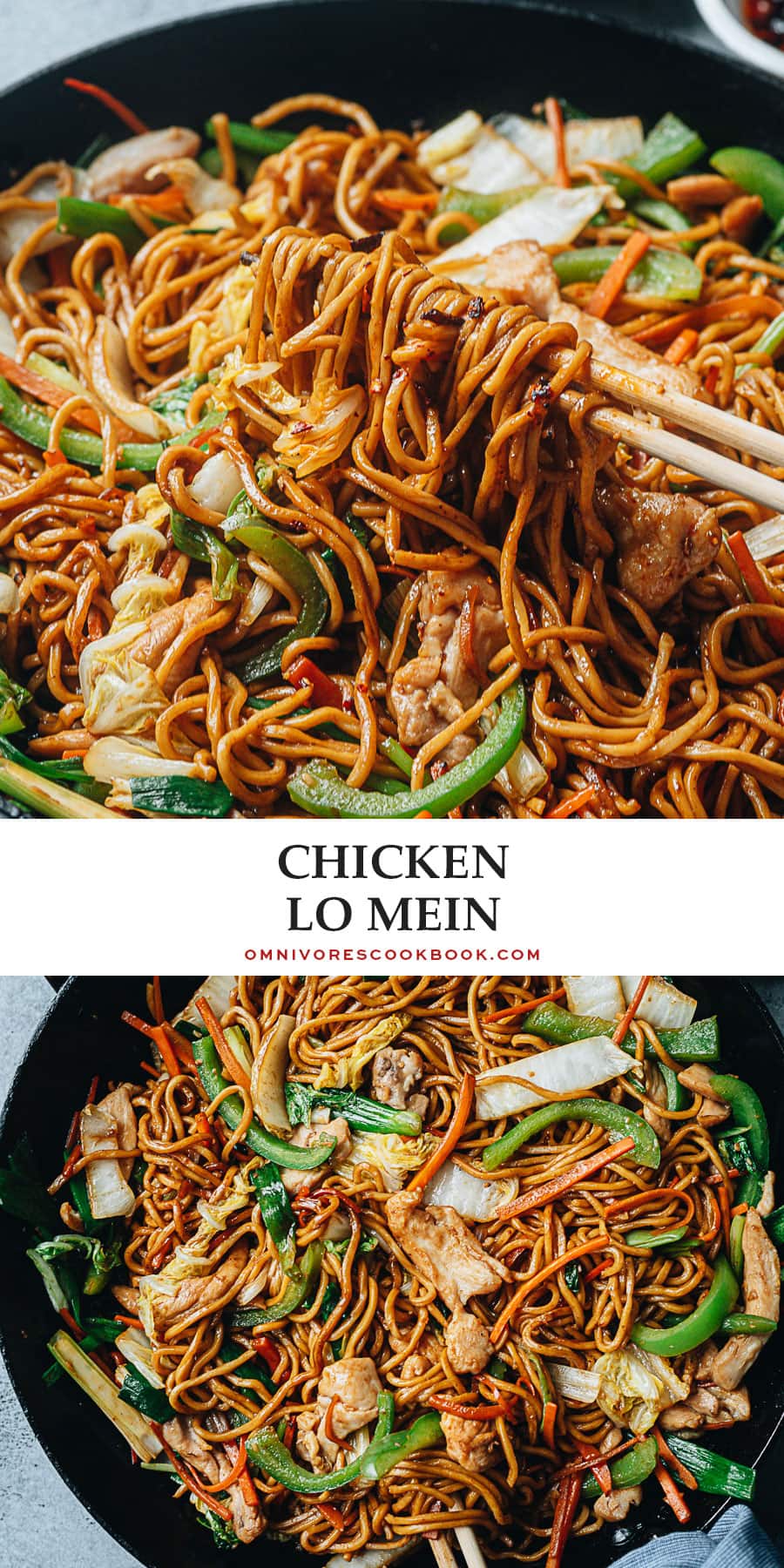 Chicken Lo Mein (Restaurant Style) - Omnivore's Cookbook