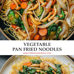 These Vegetable pan fried noodles are a perfect one-bowl weeknight dinner! The crispy noodles are covered with colorful vegetables that come in all textures and a rich savory sauce. {Vegetarian, Vegan}