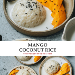 Mango sticky rice is a healthy and satisfying dessert featuring sweet gooey sticky rice served with a luscious coconut sauce and sliced mango.The homemade version contains less sugar and is quite easy to prepare. {Gluten-Free, Vegetarian, Vegan}