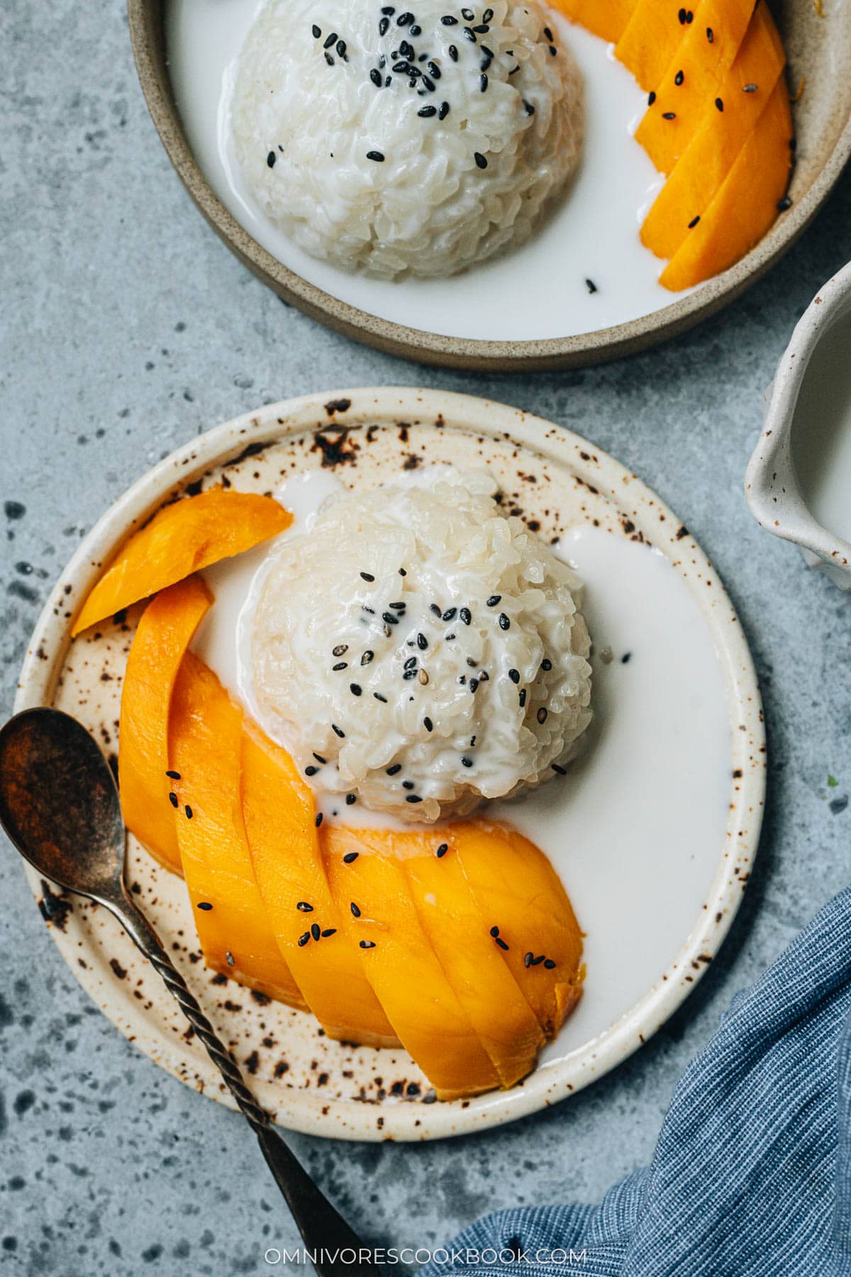 Mango sticky rice served in a plate