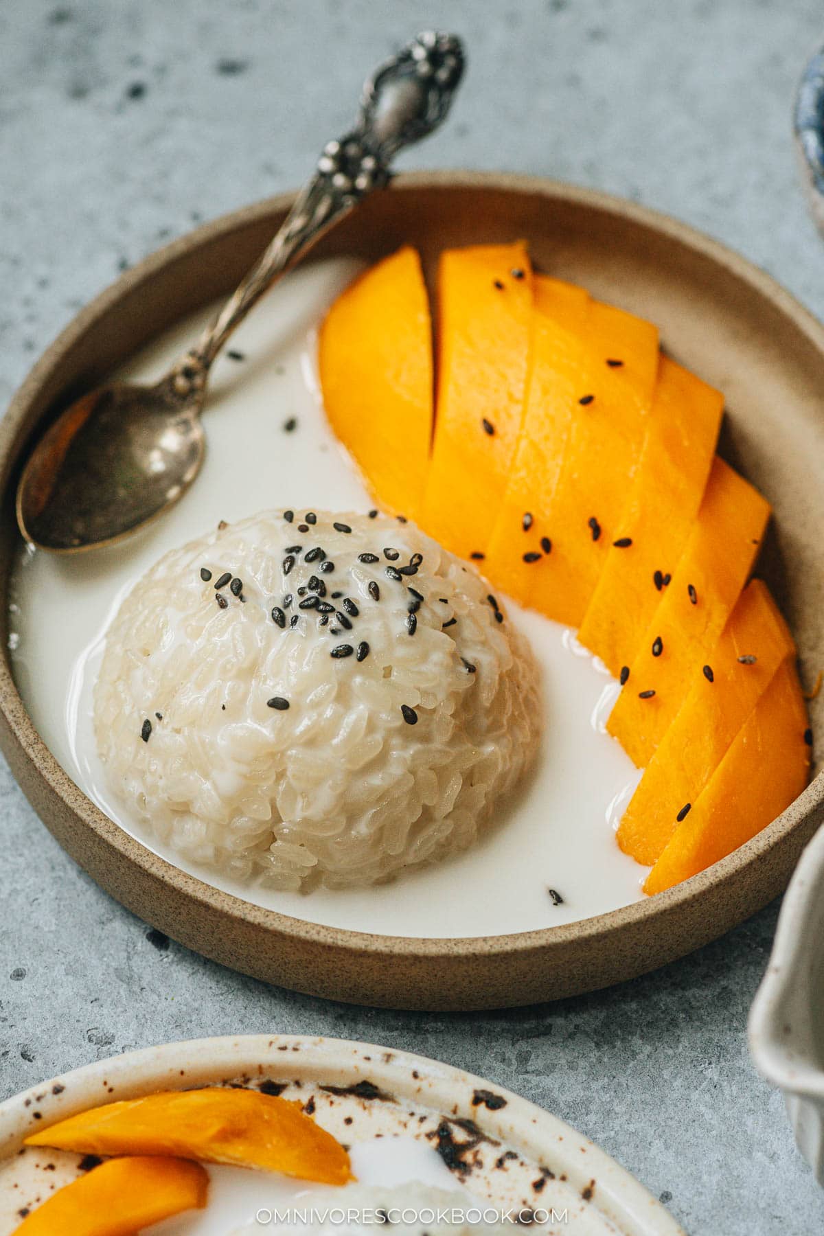 Thai mango sticky rice close up