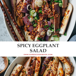 This Sichuan style eggplant salad with spicy garlic dressing is an easy, delicious way to enjoy eggplant. The eggplant is steamed until tender, then mixed with an aromatic dressing that is savory and spicy. Serve it as an appetizer or side dish to add a tasty vegetable to your meal. {Vegan, Gluten-Free Adaptable}