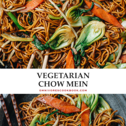 A homemade vegetarian chow mein that is loaded with vegetables in different textures with a rich tasting savory sauce that’s very fragrant. It’s a quick one-pan meal to use up veggies from your fridge! {Vegetarian, Vegan}